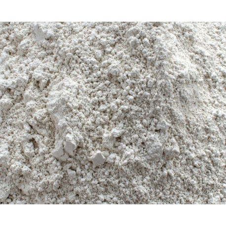 TIERRA DE DIATOMEA