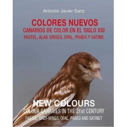 LIBRO COLORES NUEVOS ( Antonio Javier Sanz )