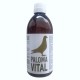 PALOMA VITAL 500 ml. ( suplemento más completo del mercado )