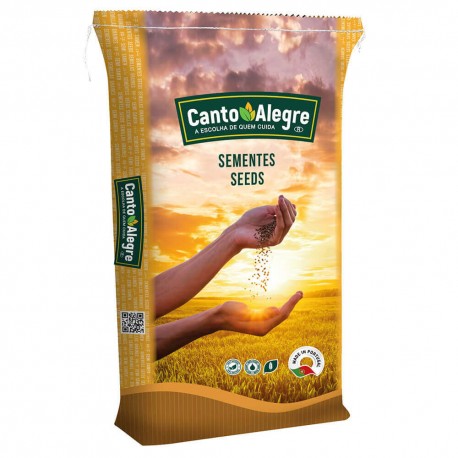 LINAZA DORADA CANTO ALGRE