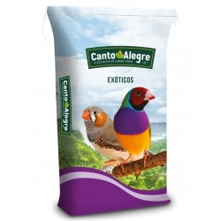 MIXTURA EXOTICOS AFRIACANOS CANTO ALEGRE