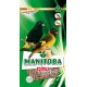 MANITOBA SPINUS EXTRA FANCY ( mixtura para cabecitas negras, negrito de bolibia )