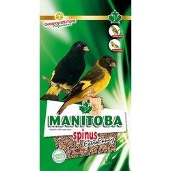 MANITOBA SPINUS EXTRA FANCY ( mixtura para cabecitas negras, negrito de bolibia )