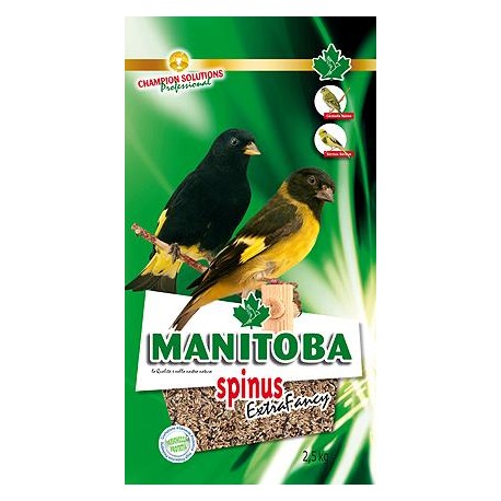 MANITOBA SPINUS EXTRA FANCY ( mixtura para cabecitas negras, negrito de bolibia )
