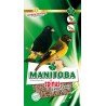 MANITOBA SPINUS EXTRA FANCY ( mixtura para cabecitas negras, negrito de bolibia )