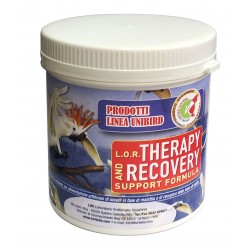 PAPILLA EMBUCHE DE RECUPRECION LOR ( THERAPY AND RECOVERY SUPPORT FORMULA )
