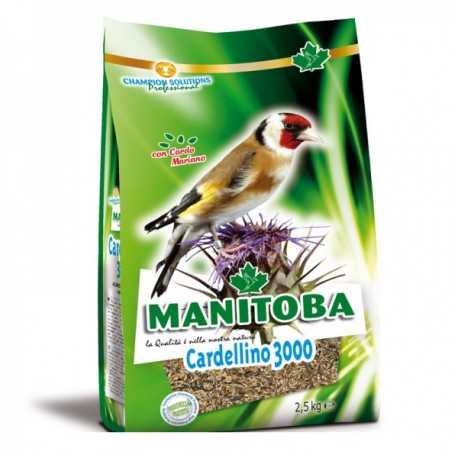 Mixt Cardellino 3000  Manitoba