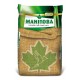Negrillo alta Germinación Manitoba