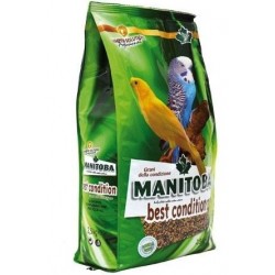 Semilla de la Salud Best Condition ( Mixtura manitoba 8% de chia )