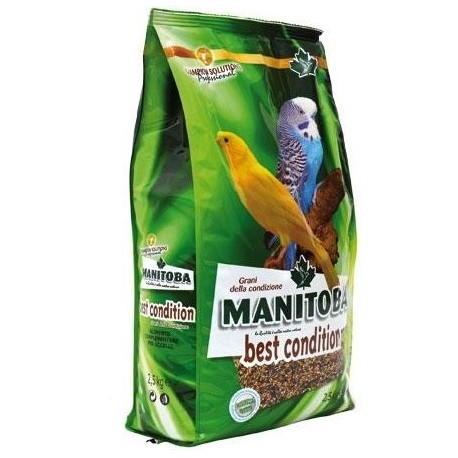 Semilla de la Salud Best Condition ( Mixtura manitoba 8% de chia )