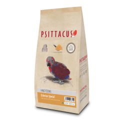 PAPILLA ESPECIAL ECLECTUS, ECLECTUS SPECIAL HAND FEEDING Psittacus