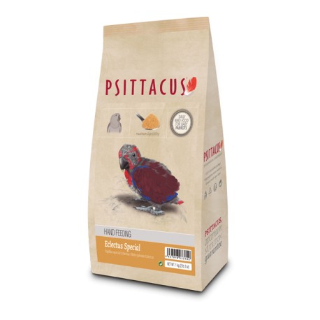 PAPILLA ESPECIAL ECLECTUS, ECLECTUS SPECIAL HAND FEEDING Psittacus