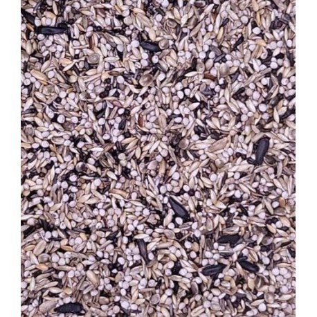 MIXTURA JILGUERO CANTO ALEGRE ( 28% de perilla blanca )