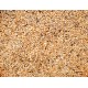 Canario mosaico Canto Alegre ( mixtura doble perilla sin dore )