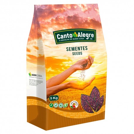 NABINA CANTO ALEGRE