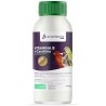 Vitamina B + Carnitina Aviantecnic 1 litro