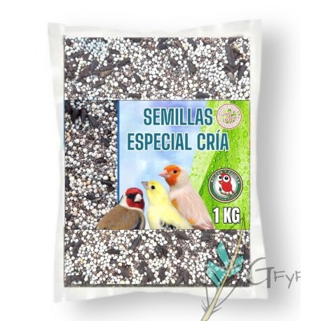 SEMILLA ESPECIAL CRIA