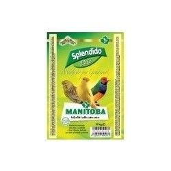 Splendido Pasta Amarilla Morbida 3 kg.