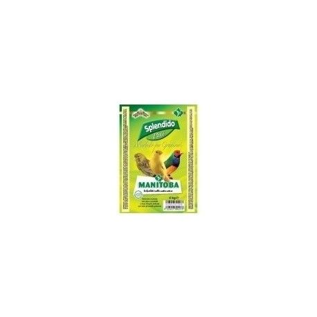 Splendido Pasta Amarilla Morbida 3 kg.