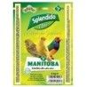 Splendido Pasta Amarilla Morbida 3 kg.