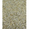 LECHUGA BLANCA CANTO ALEGRE 500 gr.