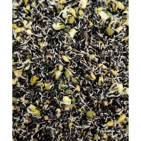 MIXTURA GERMINAR EXTRA SIN DORE ROBI