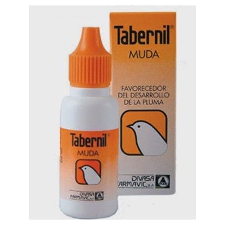 Tabernil Muda