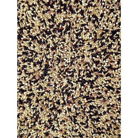 MIXTURA CANARIO ROBI ( Con navina sin avena )