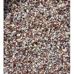 NABINA ROJA ALTA GERMINACION