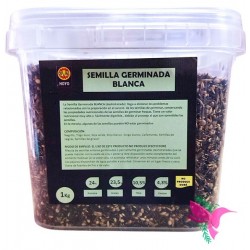 SEMILLA GERMINADA ALAS BLANCA DIVAL HOYOS ( semillas germinadas deshidratadas )