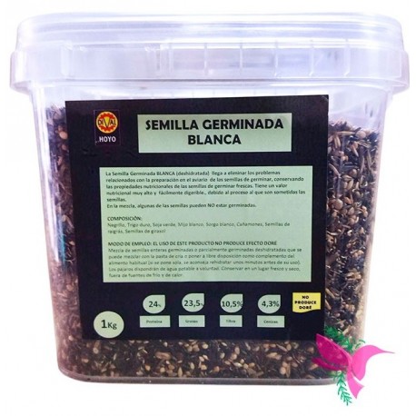 SEMILLA GERMINADA ALAS BLANCA DIVAL HOYOS ( semillas germinadas deshidratadas )