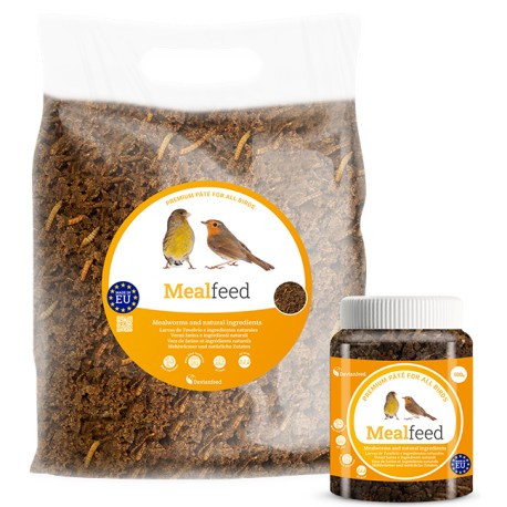 Mealfeed Pasta Insectivoros