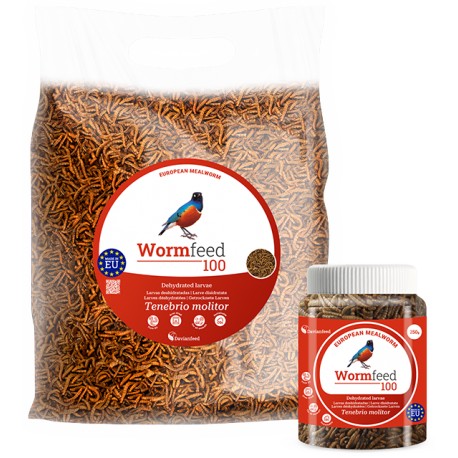 Wormfeed 100 ( Larvas de Tenebrio molitor )