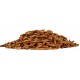 Wormfeed 100 ( Larvas de Tenebrio molitor )