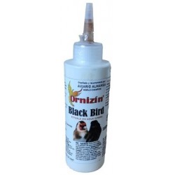 Black Bird Ornizin