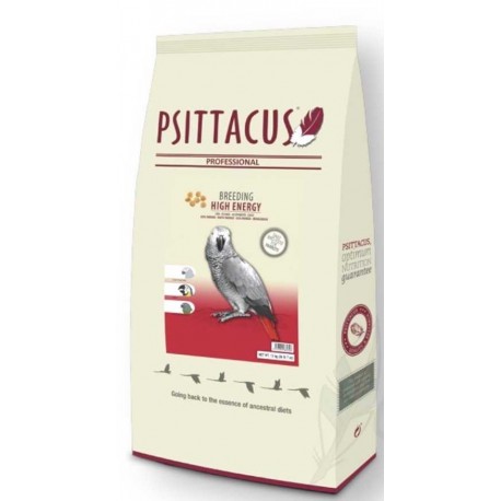 PIENSO ALTA ENERGÍA CRÍA PSITTACUS