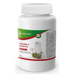VITAMINA A DIGESTIVE  AVIANVET PEDRO MOLINA