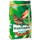 Fringilla Manitoba