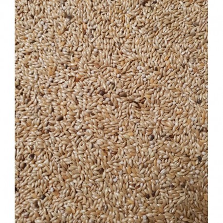 MIXTURA LIGHT ESPECIAL NOVELES ( mixtura baja en grasas ideal para destete de pollos )