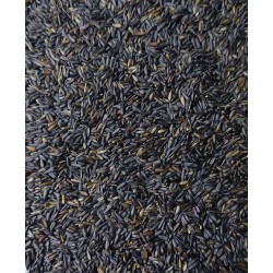 PIPA MICRO EGIPCIA CANTO ALEGRE ( pipa pequeña sin dore )