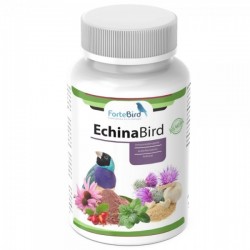 ECHINABIRD ( mejora el sistema inmunitario )