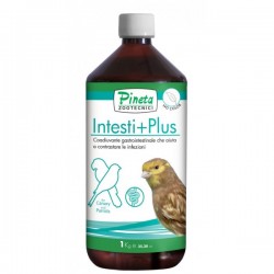 INTESTI+PLUS ( Previe colibaciliosis, estres, problemas intestinales )