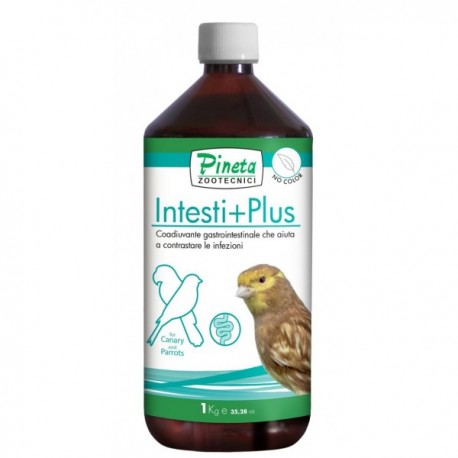 INTESTI+PLUS ( Previe colibaciliosis, estres, problemas intestinales )