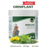 ORNIPLANT PINETA ( Diente de leon, Ortiga y Tomillo )
