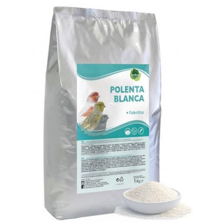 POLENTA BLANCA PINETA ( Polentina sin dore )