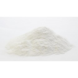CALCIO EN POLVO MICRONIZADO ( Calcio especial para la pasta )