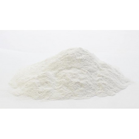 CALCIO EN POLVO MICRONIZADO ( Calcio especial para la pasta )