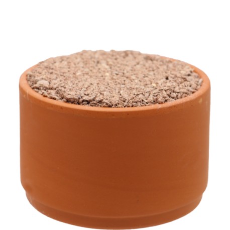 COLOMBINE PICKSTONE ( Piedra roja para picar )