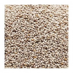 Chia Blanca Hispania Canto alegre ( sin dore )