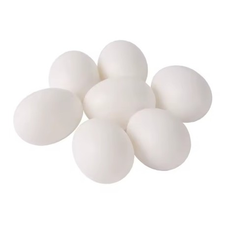 HUEVOS FALSOS PALOMAS